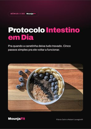 Capa do bônus Protocolo Intestino em Dia