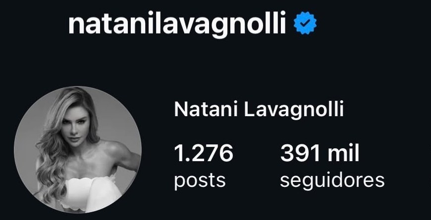 Perfil do Instagram de Natani Lavagnolli, 391 mil seguidores